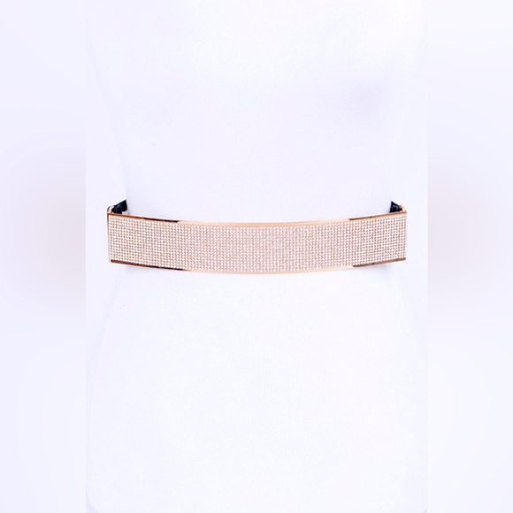 Rhinestone Metallic Plaque Elastic Statement Belt - Picture 2 of 7